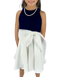 Helena and Harry Girl's Royal and White Velvet Georgette Dress